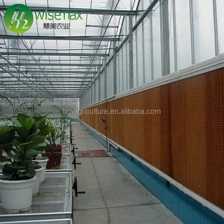Economical poly tunnel hot sale greenhouse window for agriculture
