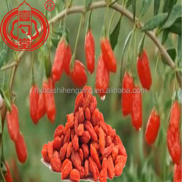 Оптовая цена завода для органических китайский wolfberry