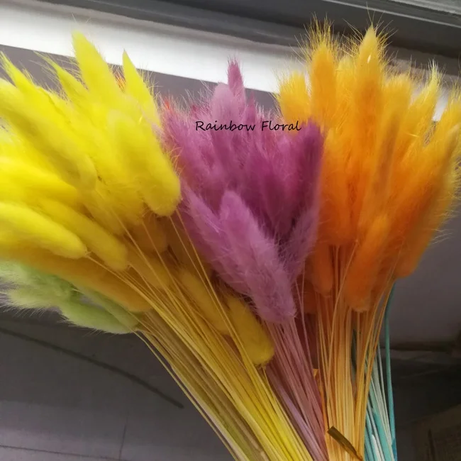 Dried flower bouquet colorful preserved lagurus flower as bridal bouquet