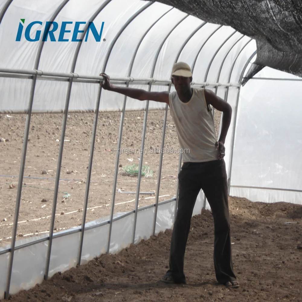 Economical hoop house agricultural modern greenhouse sale