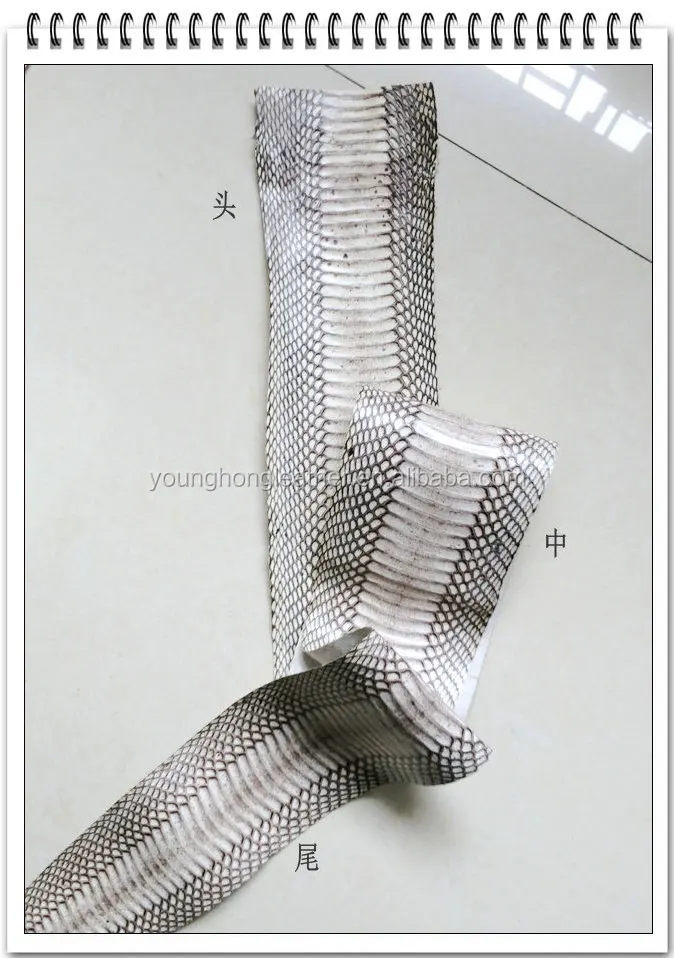 Different kinds of Real Snake Skin Crusts for Shoes upper