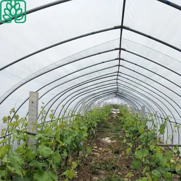 Aquaponics Growing Systems Plastic Film Greenhouse