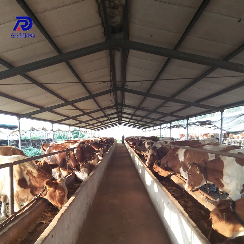 Prefabricated Metal Steel Structure Farm Building Cattle/Cow Shed