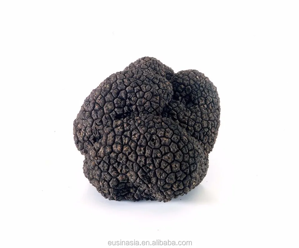 
IQF wild black truffle hot sell 