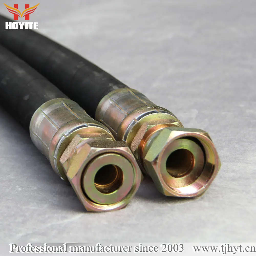 High Pressure Power Steering Brake Hydraulic Hose Assembled with Fittings