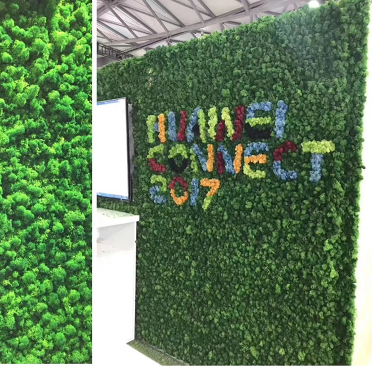 
Yunnan A Grade Dried Flowers Wholesale Lichen Preserved Moss For House Decoration 