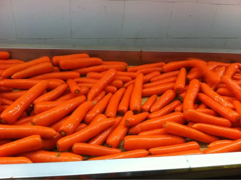 
Chinese fresh carrot from China 