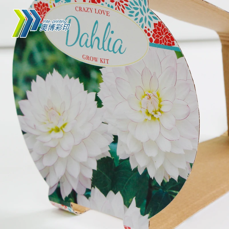 Custom a4 Sleeve Folder Printed Multi-color Printing Cardboard Packaging Boxes,Paper Sleeve Cap for Frying Pan