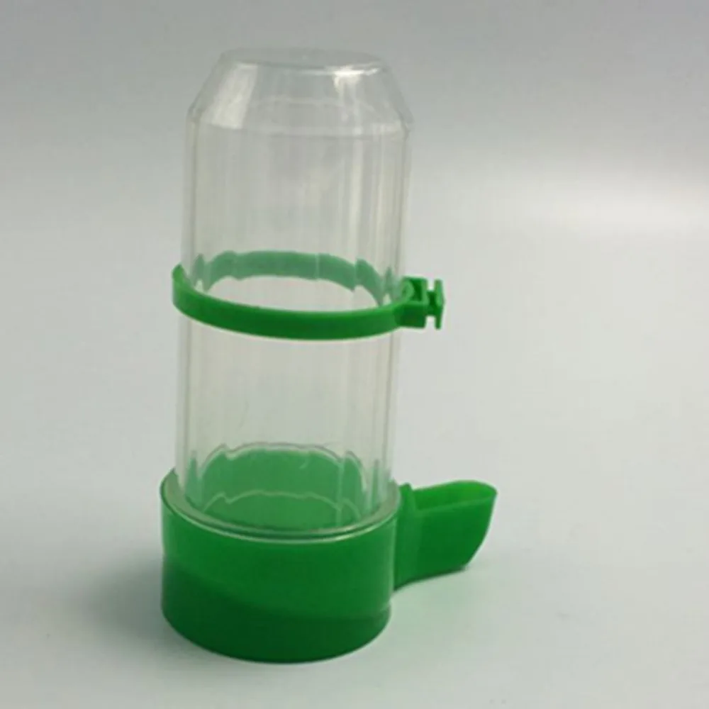 Wholesale Quail Drinking Water Bottle Supplies Pigeon Drinker Plastic Bird Feeder Wholesale