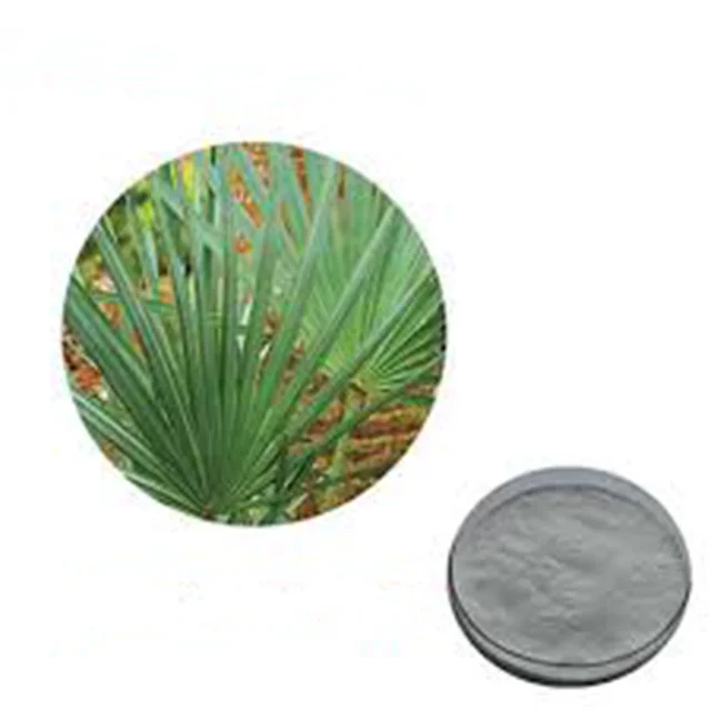 
High Quality Natural Plant Saw Palmetto Extract Powder 