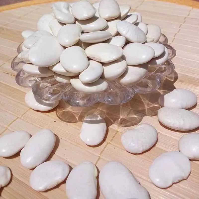 Органические навалом бобы Лимы оптовой