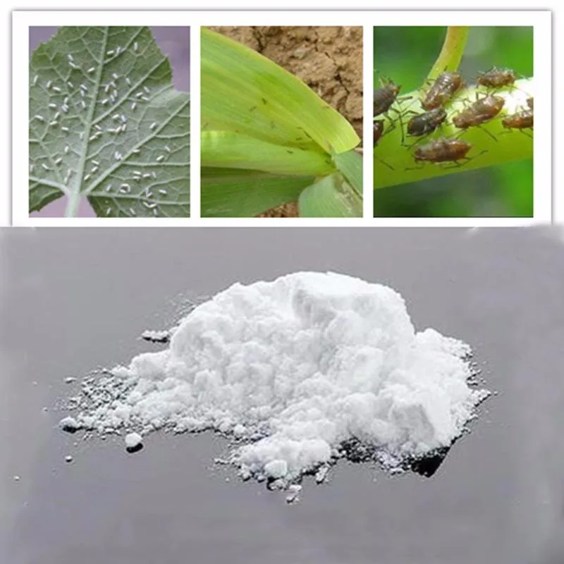 
Agrochemical insecticide 138261-41-3 95%tc Imidacloprid 