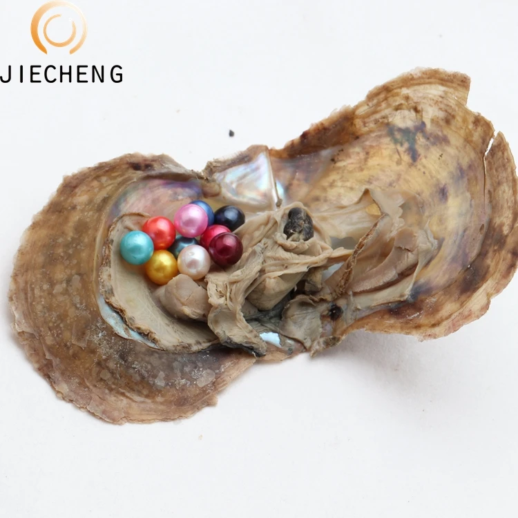35 Dyed Akoya 6-8mm Freshwater Cultured Oysters With Akoya Pearls,Vacuum Packaged Oyster Perlas Wholesale