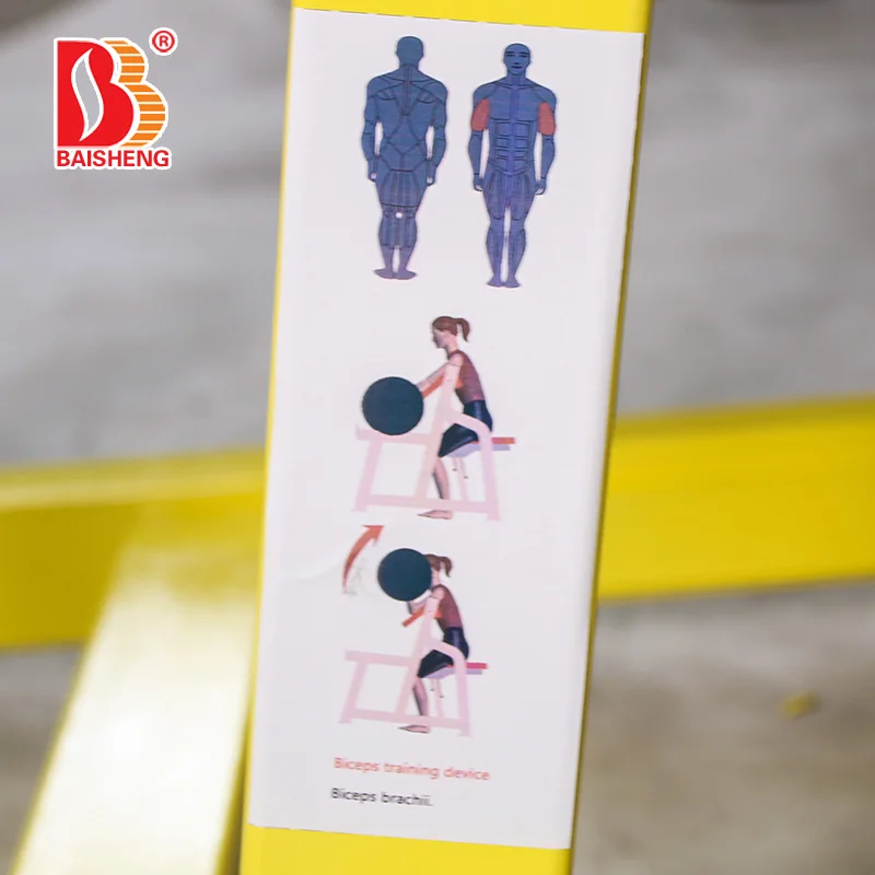 Hot Sale BS-D19 China Factory Manufacturing Arm Training Sports Exercise Equipment for Gym Center