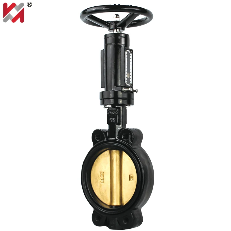 Hot wholesale Four inches Marine Worm Gear Manual Type Butterfly Valve