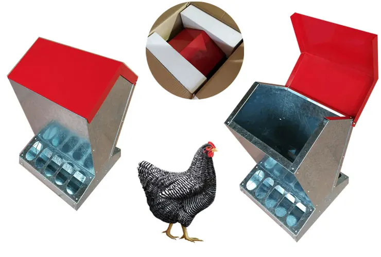 
Customized Chicken Drinkers And Feeders 