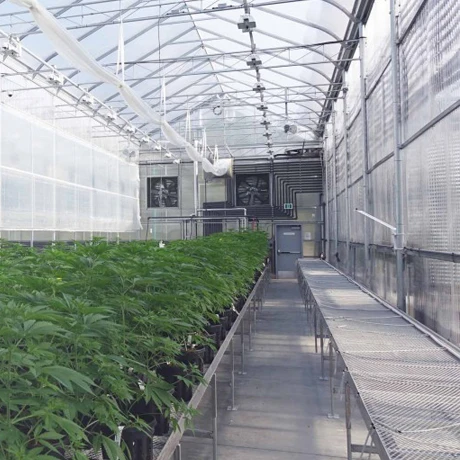 Smart glass greenhouse and agricultural vegetable greenhouse