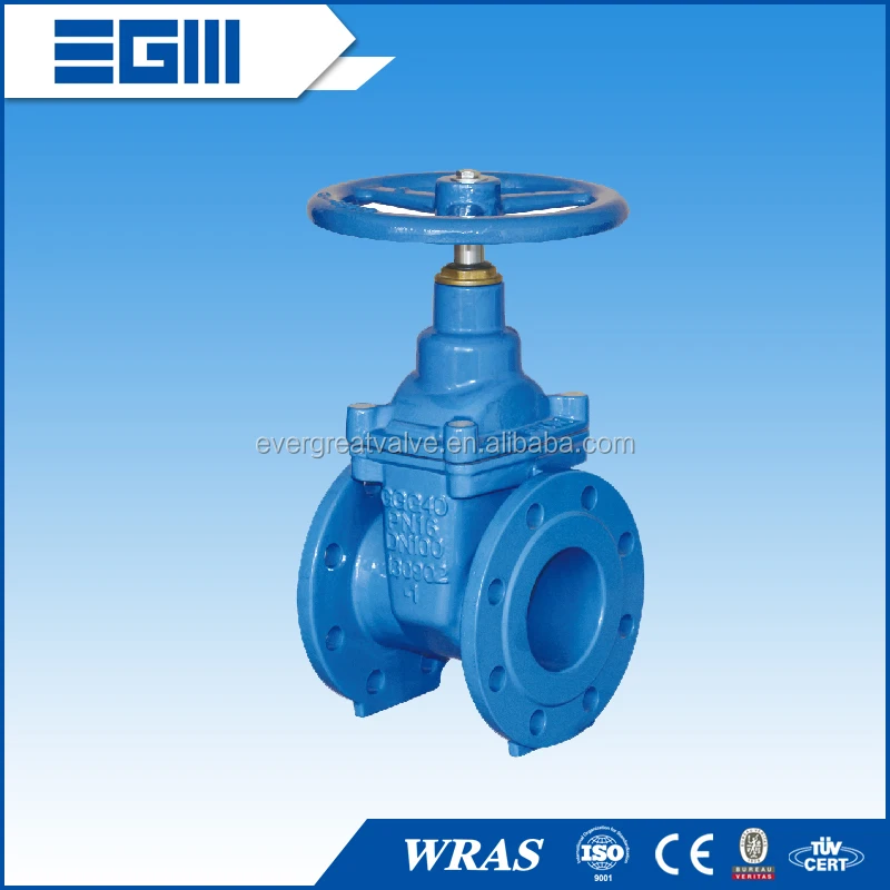 
Gate Valve 