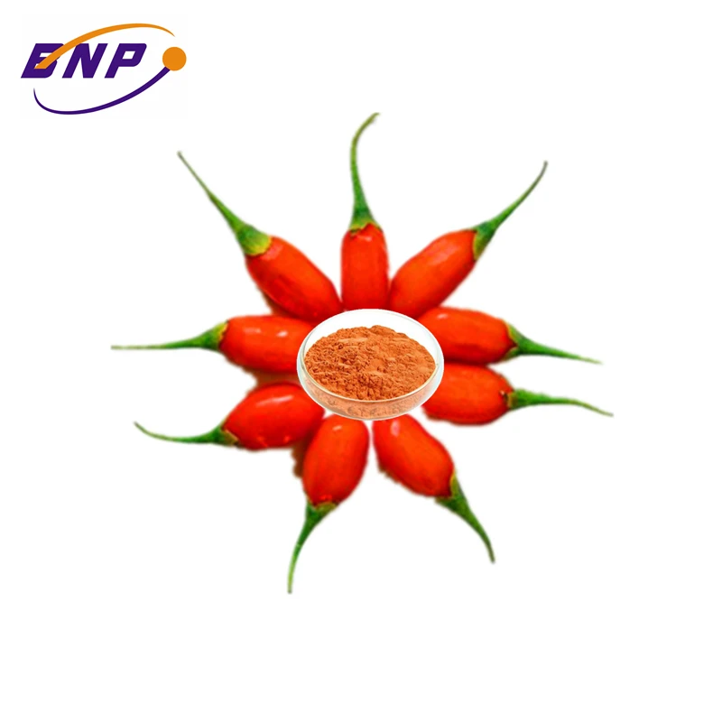 Xinjiang JInns Medlar Supply HACCP ISO HALAL 100% Goji Natural High Quality Goji Juice Concentrate allicin