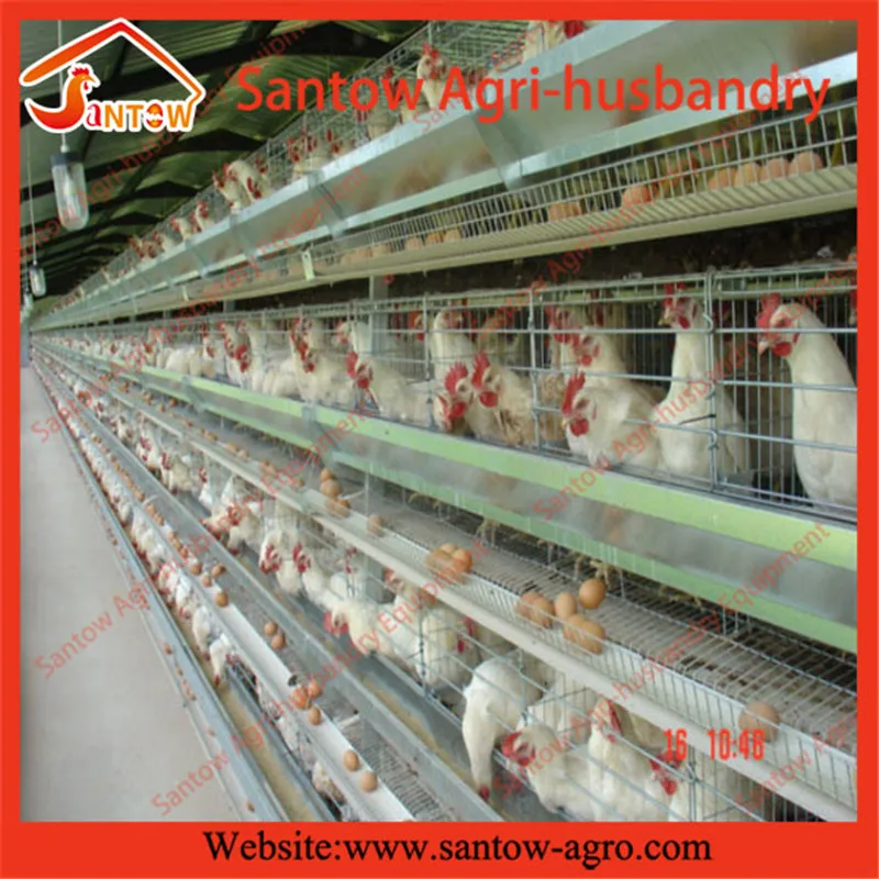 prefabricated chicken coop hen house for sale / metal wire mesh laying hen houses Vertical H-Type Frame