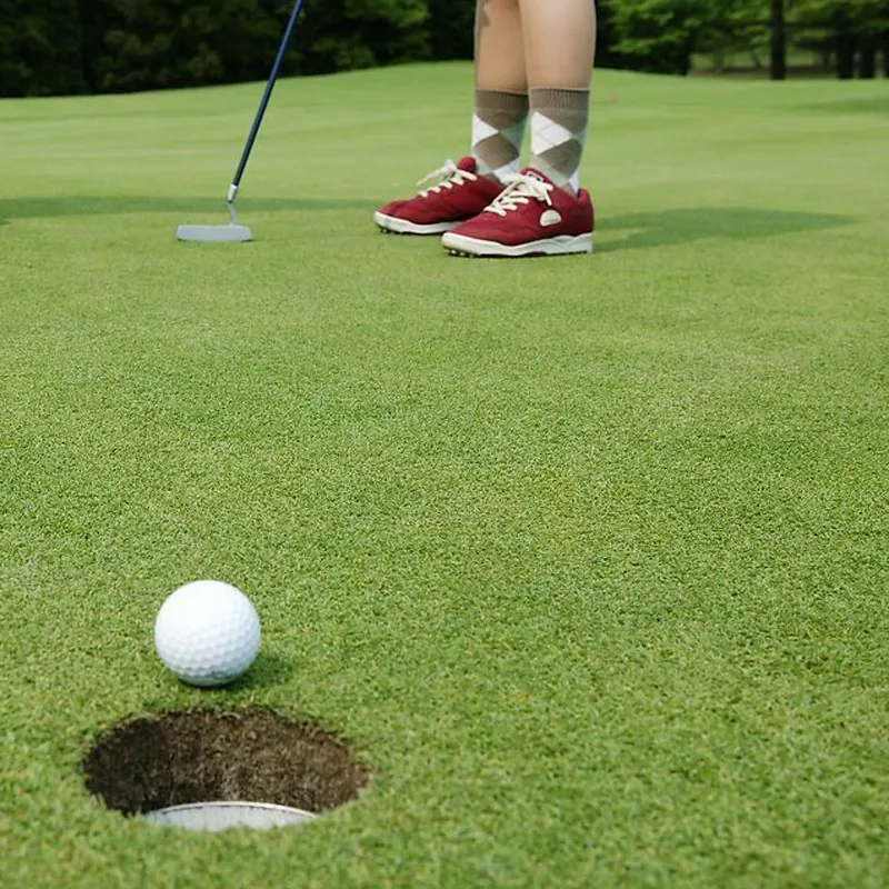
Synthetic Golf Putting Green Grass 