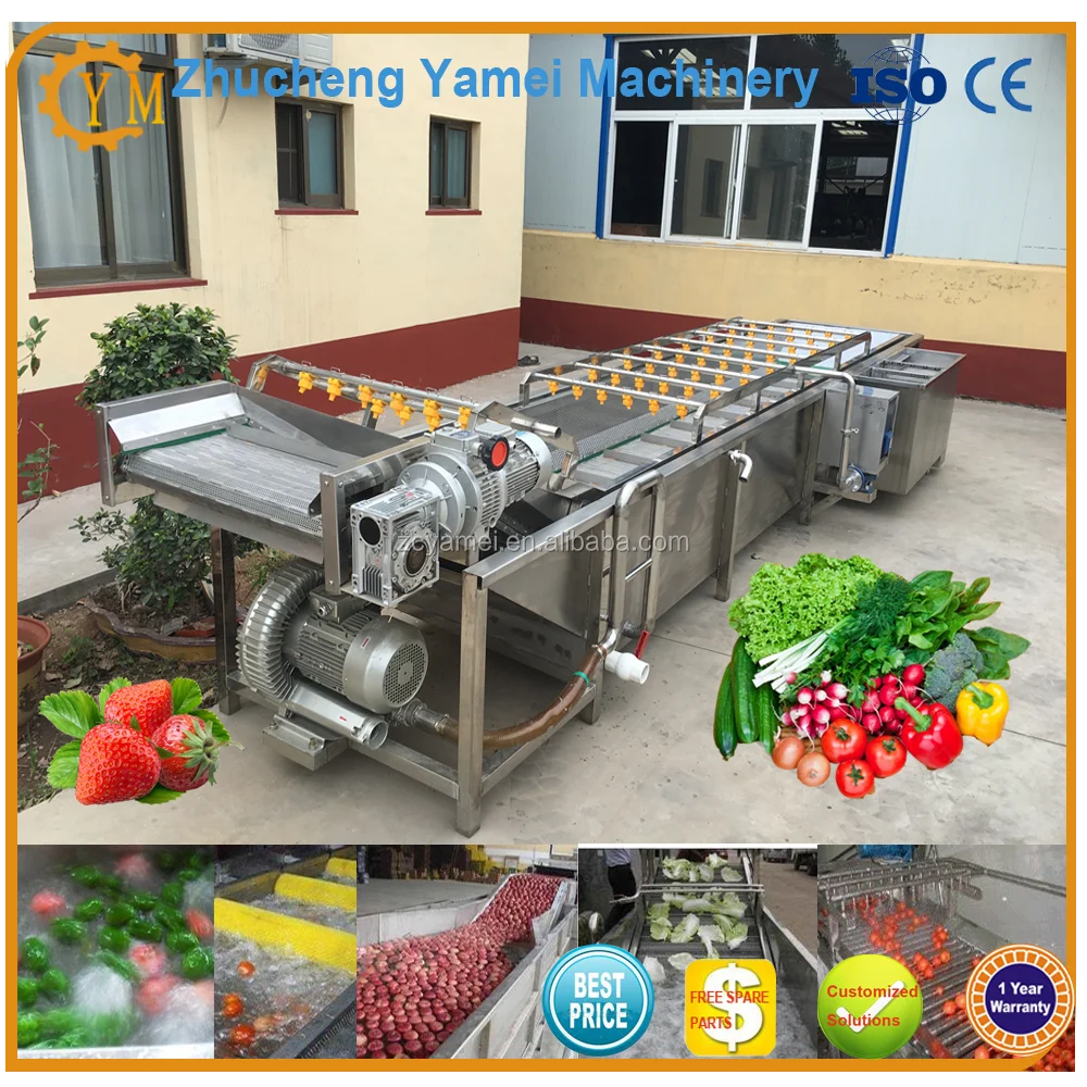 industrial professional straw berry sorter/strawberry sorting machine