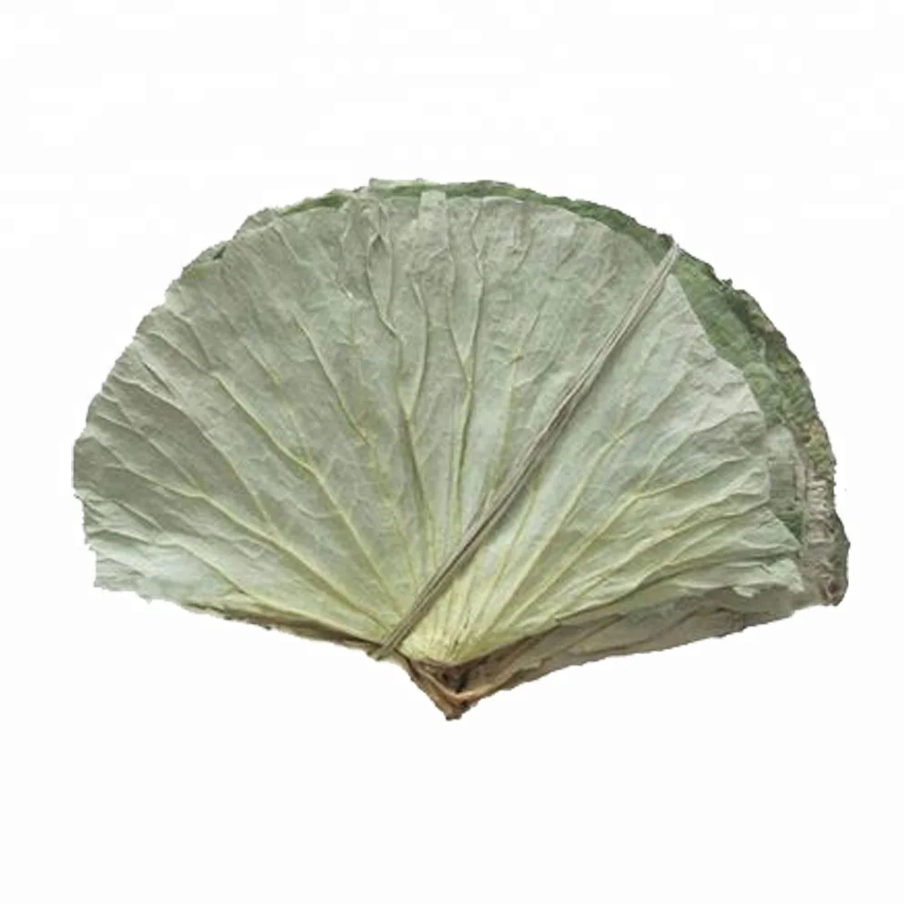 Высококачественный органический Лотос высушенные целые листья ломтики чайные резки гранулы