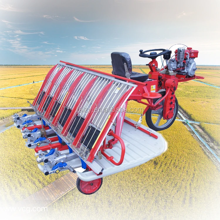 Low price rice paddy transplanter/planting machine for seedling
