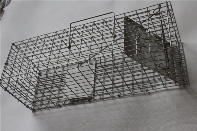 Cage Rat Traps Rat Bird Cat Rabbit Trap Wild Animal Trap For Animals
