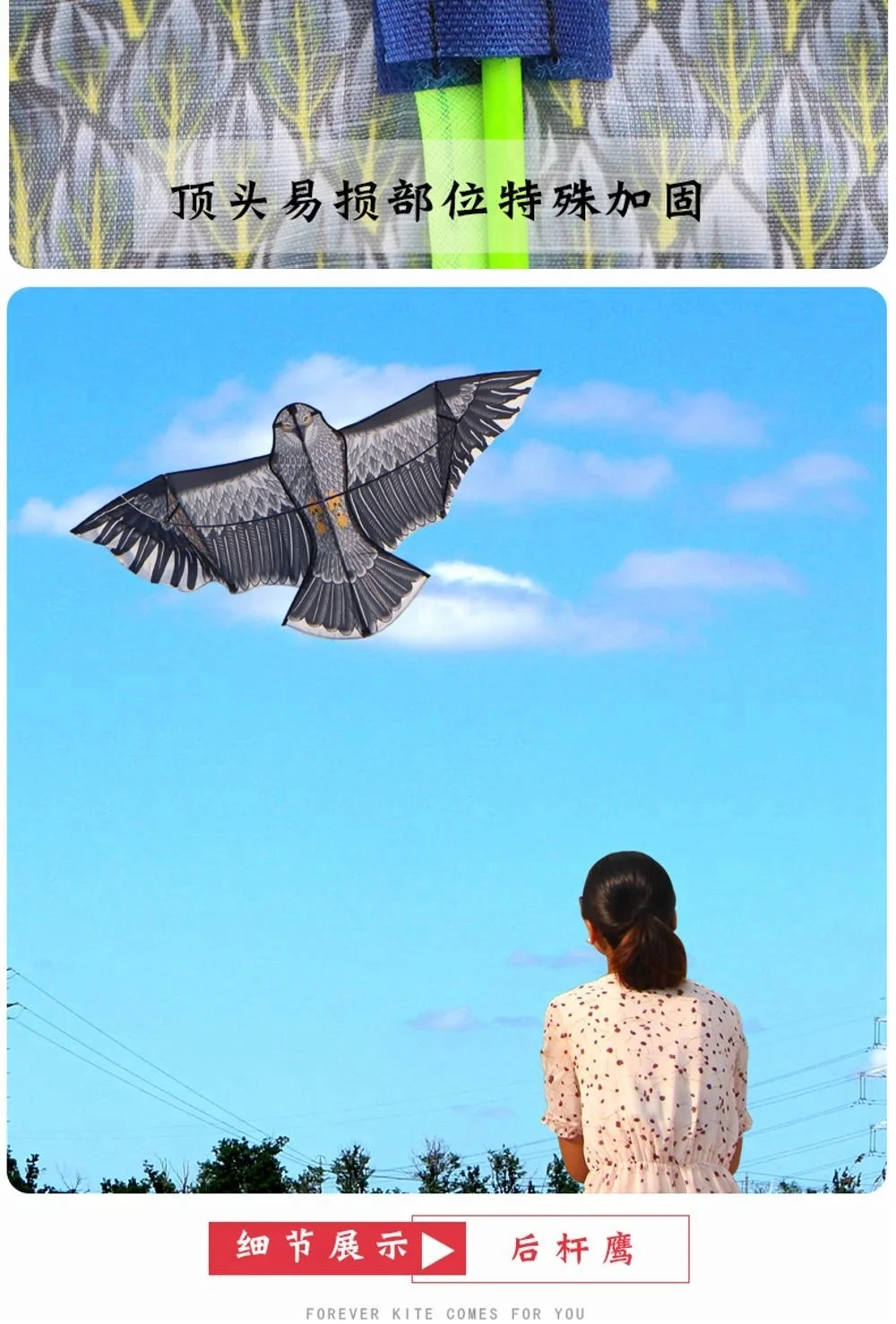 high quality 80*180 eagle animal kite cobra kite with handle line outdoor toys for adult bird kite