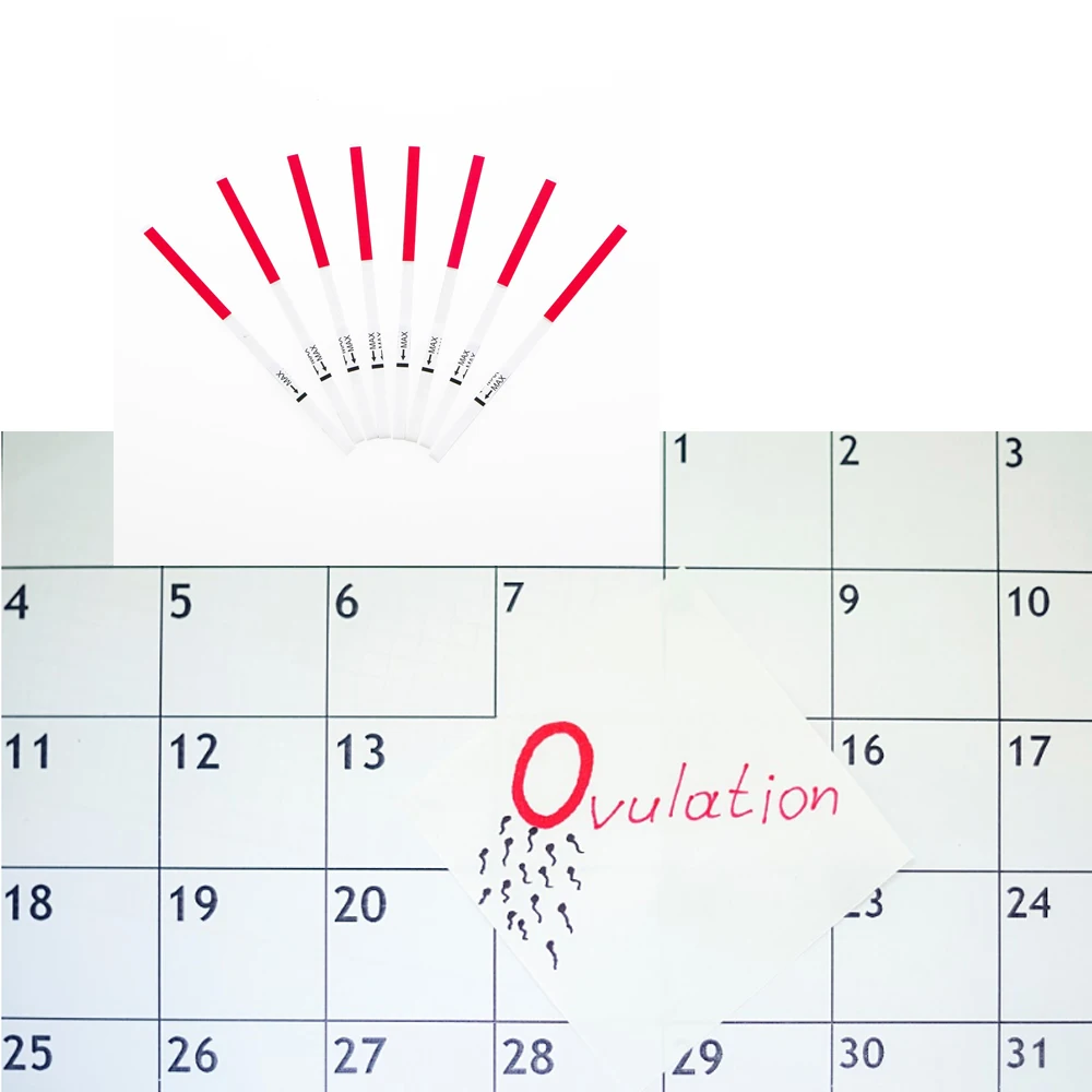 
CE0123 Approved Singclean Medical Supplies LH Ovulation Testing Strips 