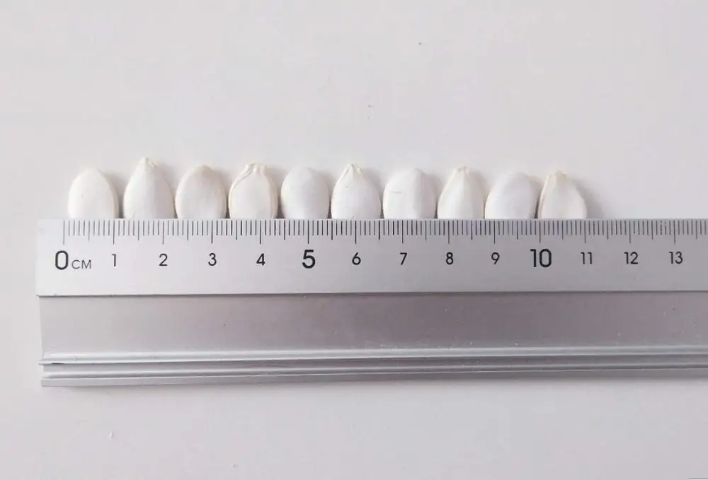 
2019 China Snow White Pumpkin Seeds for Wholesale 