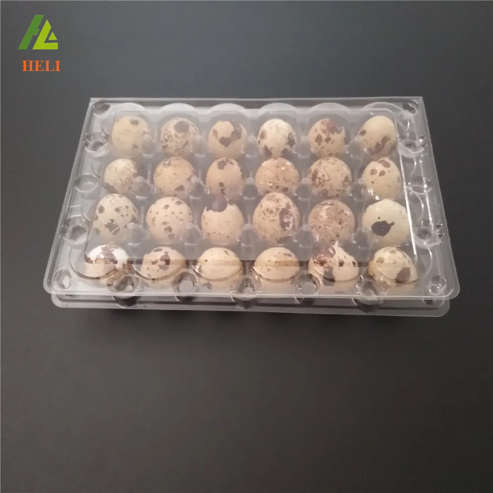 24 Holes Clamshell clear disposable plastic quail egg cartons