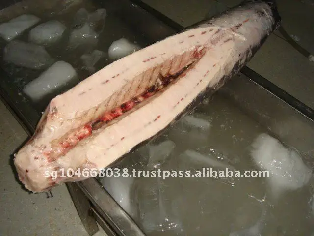 Frozen Fish Fresh Tilapia Supplier Block Bulk Style Packaging Package Weight Lbs Shelf Origin FROZEN SWORDFISH DWT (BELLY OFF)