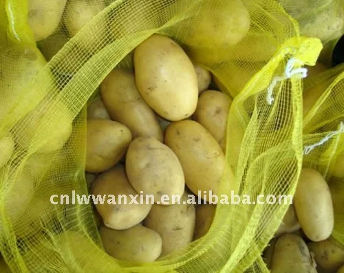 
Fresh holland Potato in mesh bag 