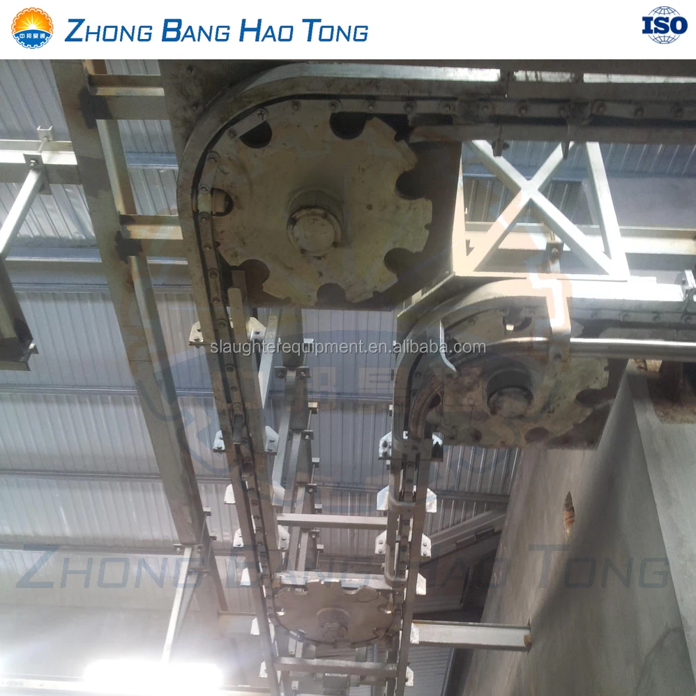 Cattle Bleeding track for cattle abattoir