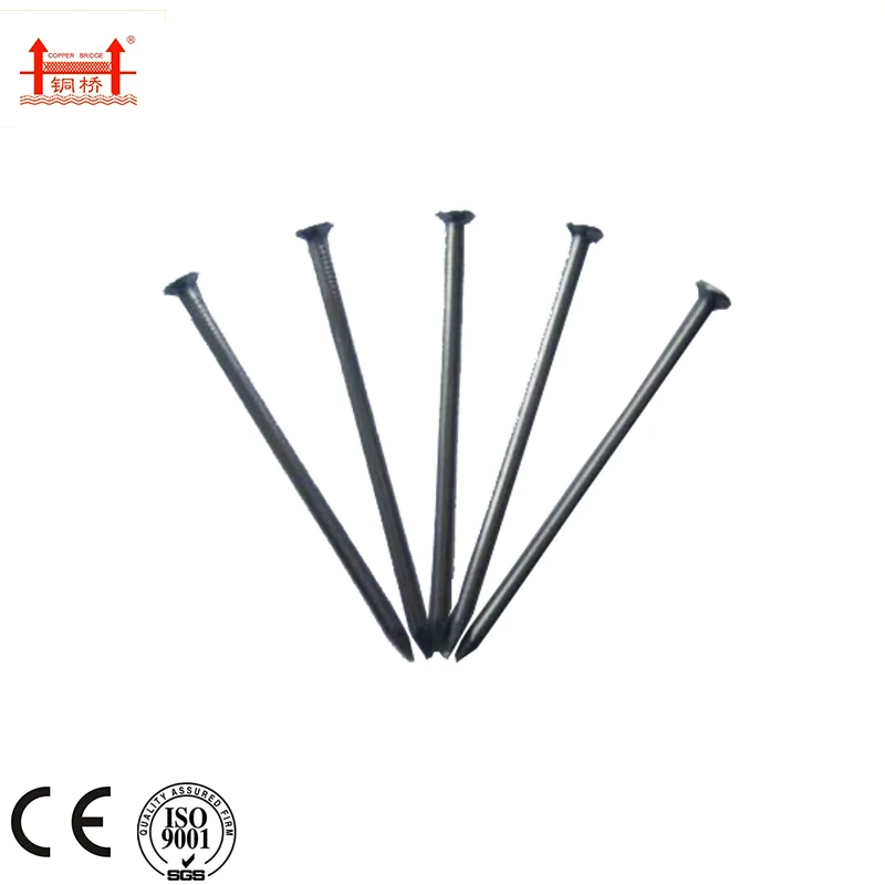 Production and wholesale of nail concrete trough nail galvanized steel nail