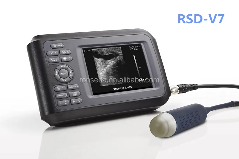 Horse Disease Detection Veterinary Ultrasound Scanner For Farm Animals