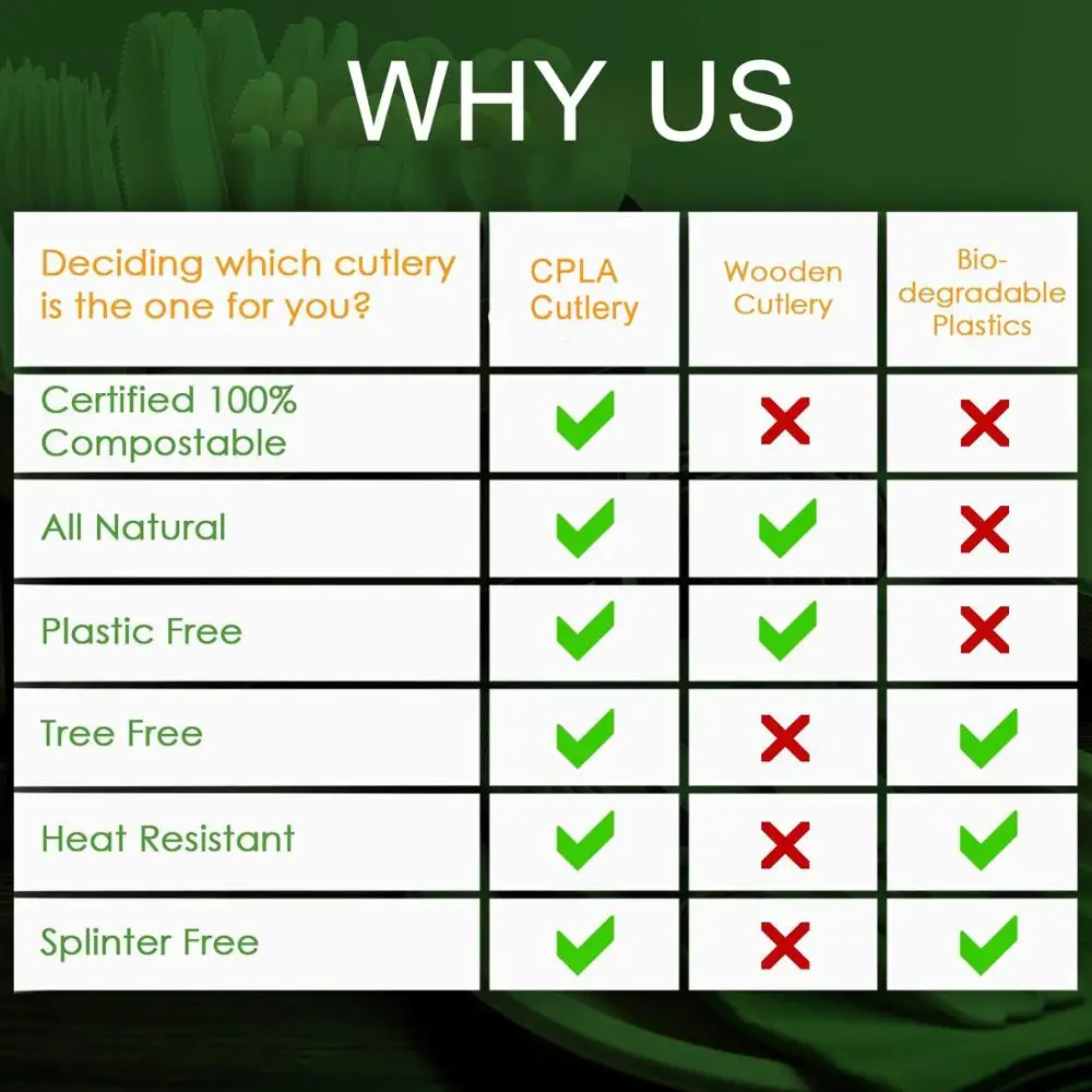 EcoNewLeaf 7 inch Disposable Tasting Spoons CPLA Bio Degradable Compostable Spoons 1000pcs