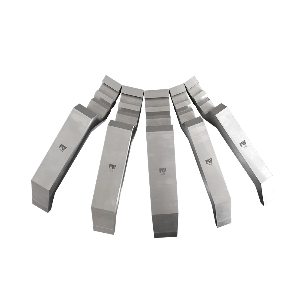 Экономического высшего сорта Китай пресс-тормоз плесень Гусенек удар