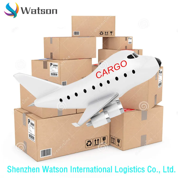 
China to Italy/France/UK/Spain/Germany/European Amazon FBA DDP Transportation Service 