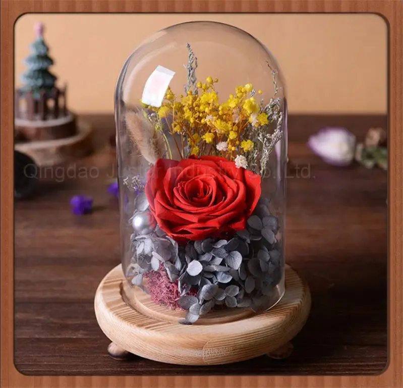 
Bell Jar Small Glass Dome with Wood base \ Taxidermy Glass Butterfly Dome \ Display Tall decorative clear glass bell jar dome 