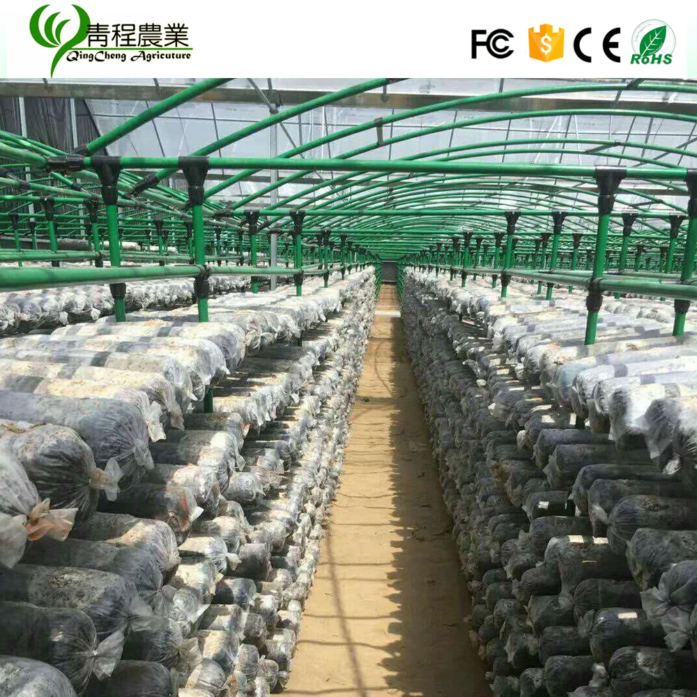 mushroom growing shelves greenhouse for sale