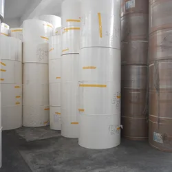 FSC&BRC&ISO9001&YUM Professional certification raw materials single / double sided pe pla paper rolls