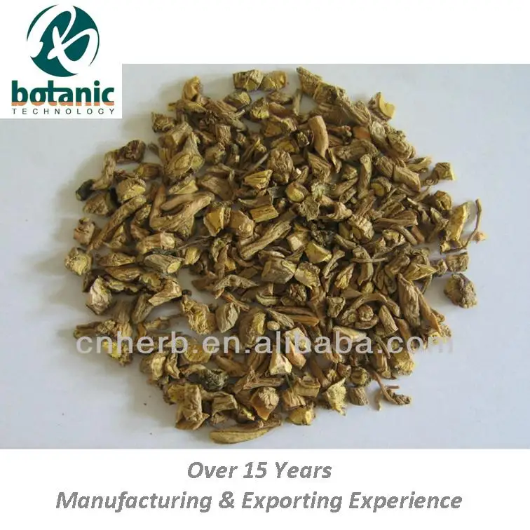 
Isatis root Indigowoad root Radix isatidis Woad Glastum Isatis tinctoria Baphicacanthus cusia 