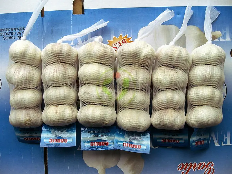 
Fresh garlic new 2018 