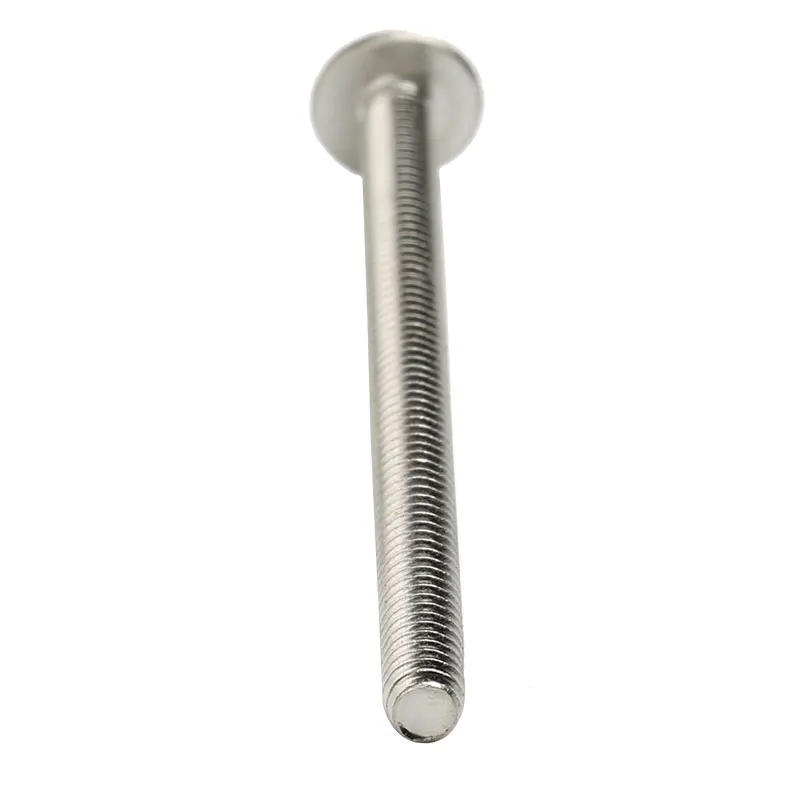 Custom M3 M4 M5 M6 M8 Stainless Steel Limitless Truss Head Phillips Slotted Screws Extra Long Bolt for Motor Pump