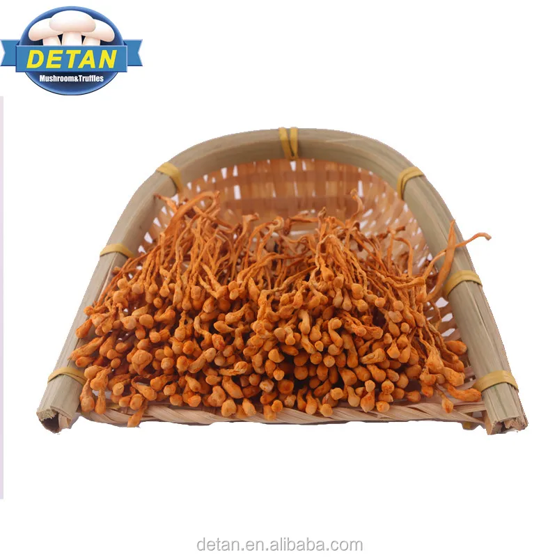 
Detan Dried Caterpillar in All Types of Mushrooms 