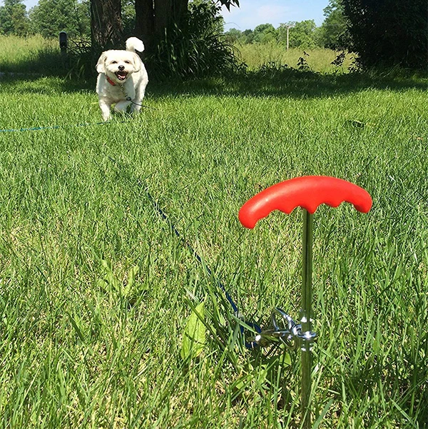 
Dog Stake and Tie Out Cable 