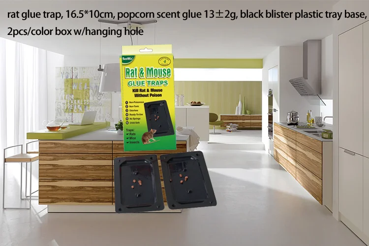 BSTW Rat Killer cyanoacrylate adhesive rat adhesive